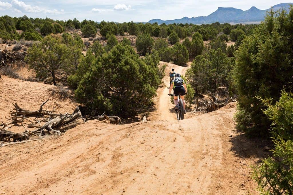 Two mountain bikers on trail in Phil's World in Mesa Verde Country, southwest Colorado.