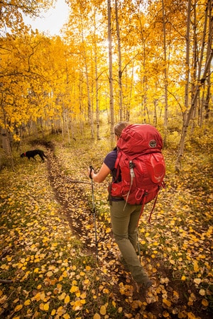 woman and dog on hiking trail in colorado in the fall