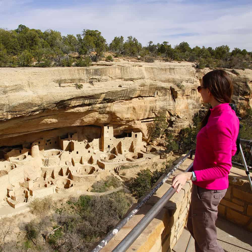 are dogs allowed in mesa verde national park