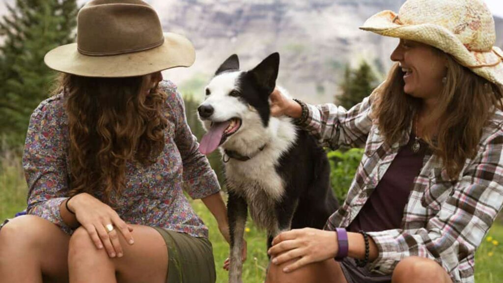 6 Uncrowded Hiking Trails in Colorado
