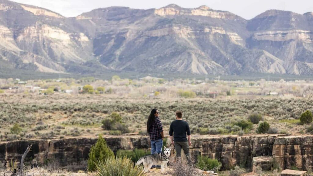 Mesa Verde National Park by the Numbers