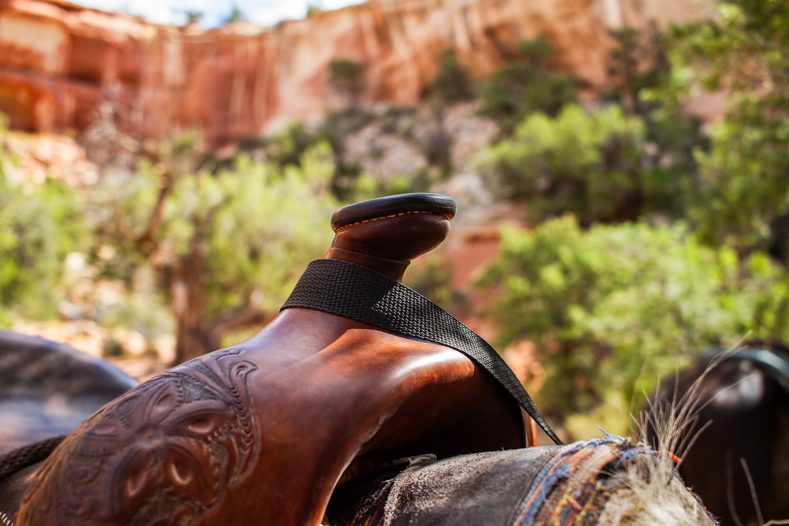 Horseback Riding