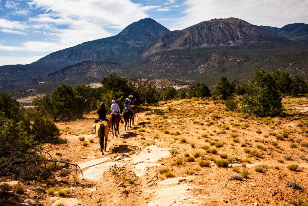 Four riders on a horseback ride in Mesa Verde Country, McElmo Canyon.