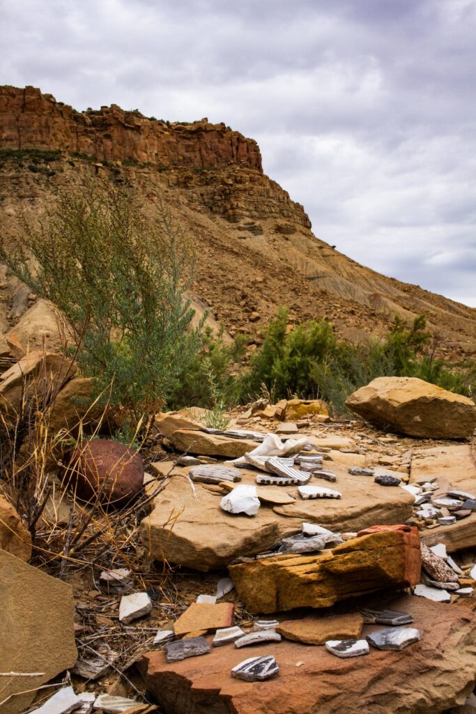 Potter sherds in Ute Mountain Tribal Park