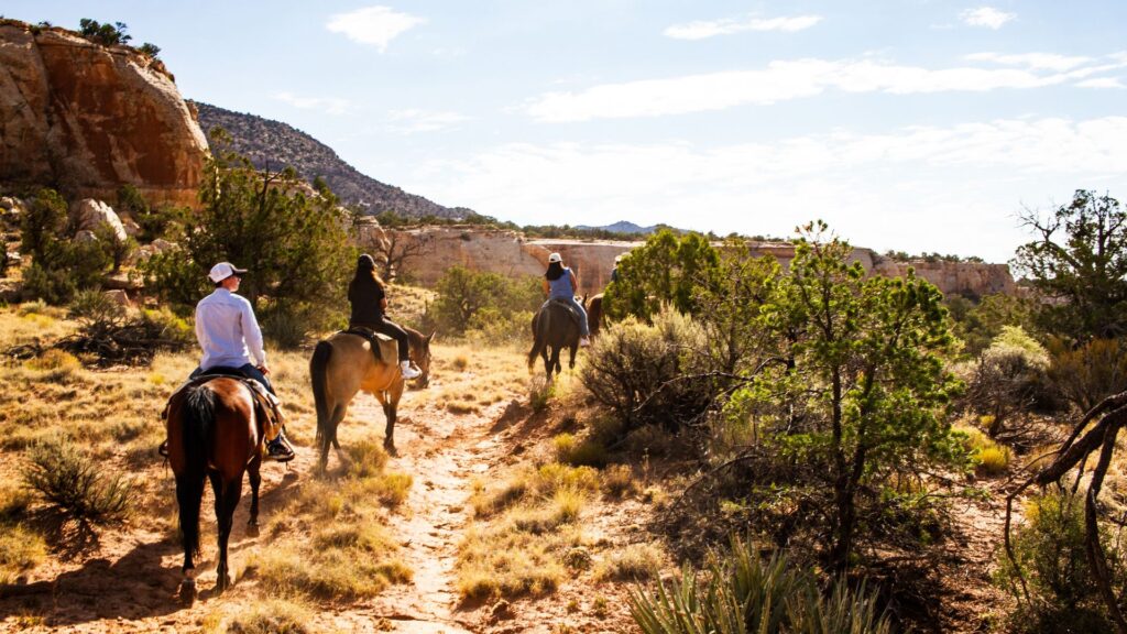 3 Days of Rest and Relaxation in Mesa Verde Country