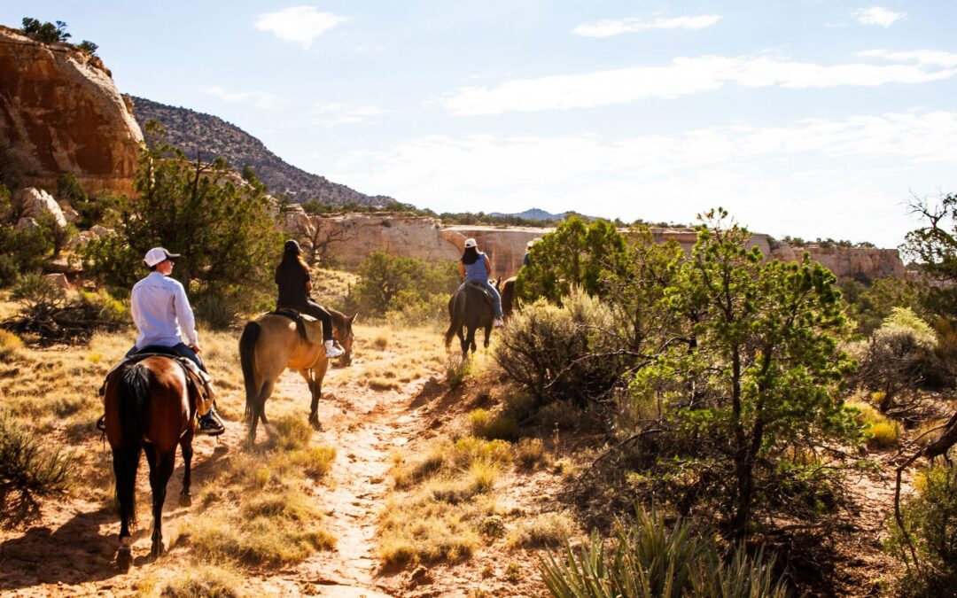 3 Days of Rest and Relaxation in Mesa Verde Country