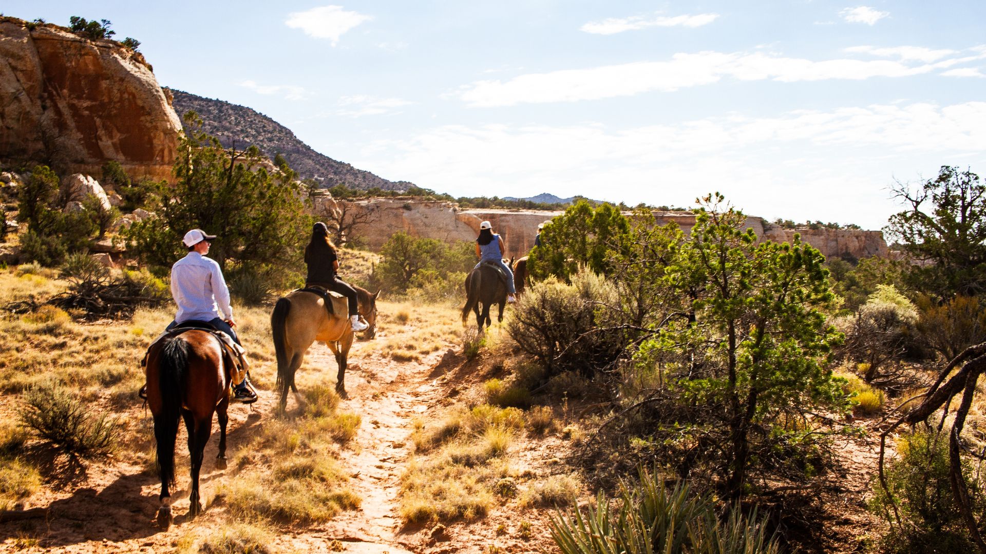 3 Days of Rest and Relaxation in Mesa Verde Country