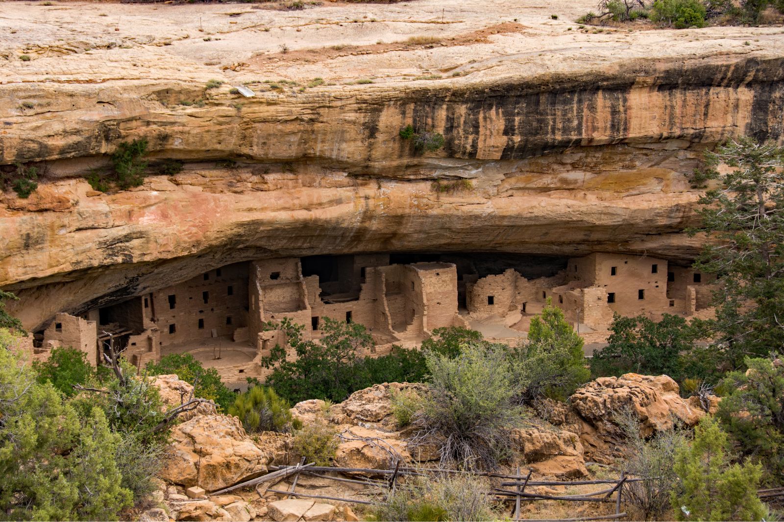 Mesa Verde National Park - Spruce Tree House