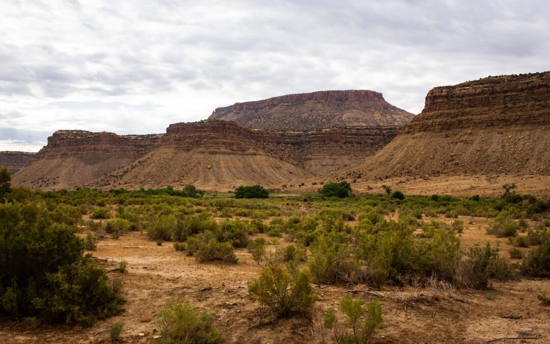 A week of outdoor fun and cultural discovery in Southwest Colorado