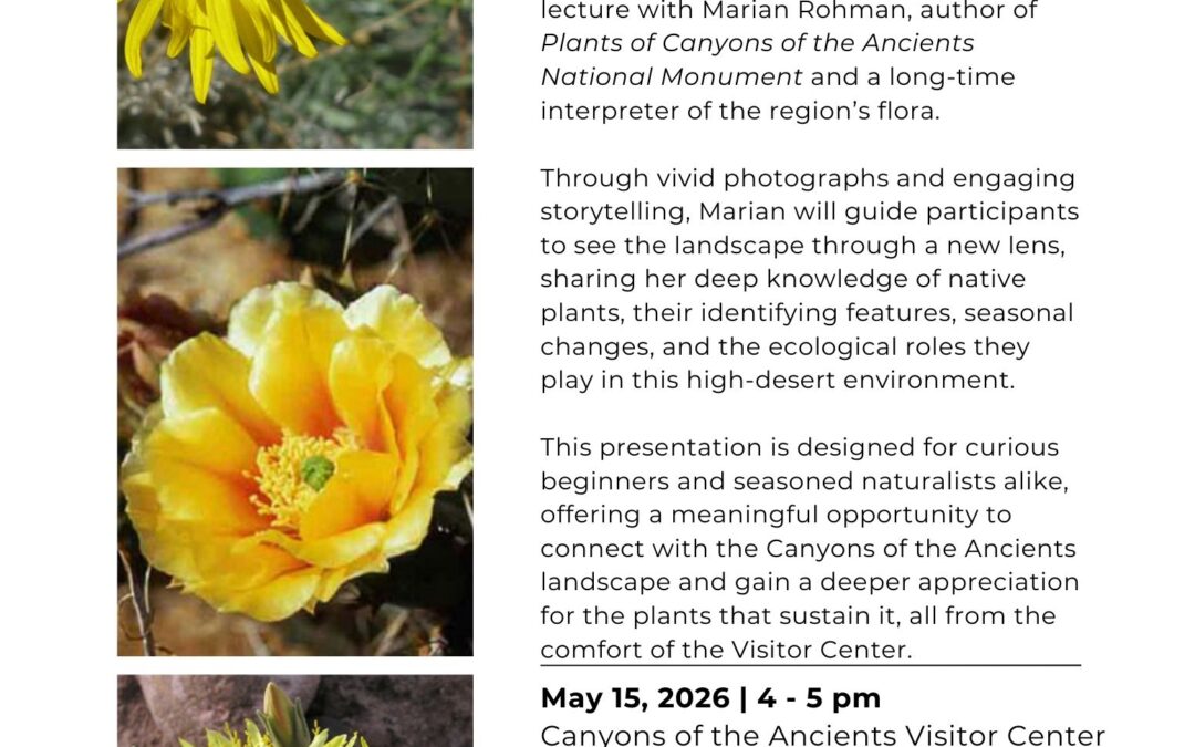 Plants of Canyons of the Ancients: A Visual Exploration